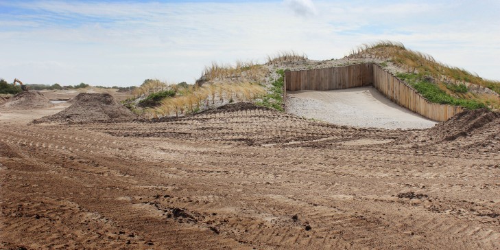 Developing dunes