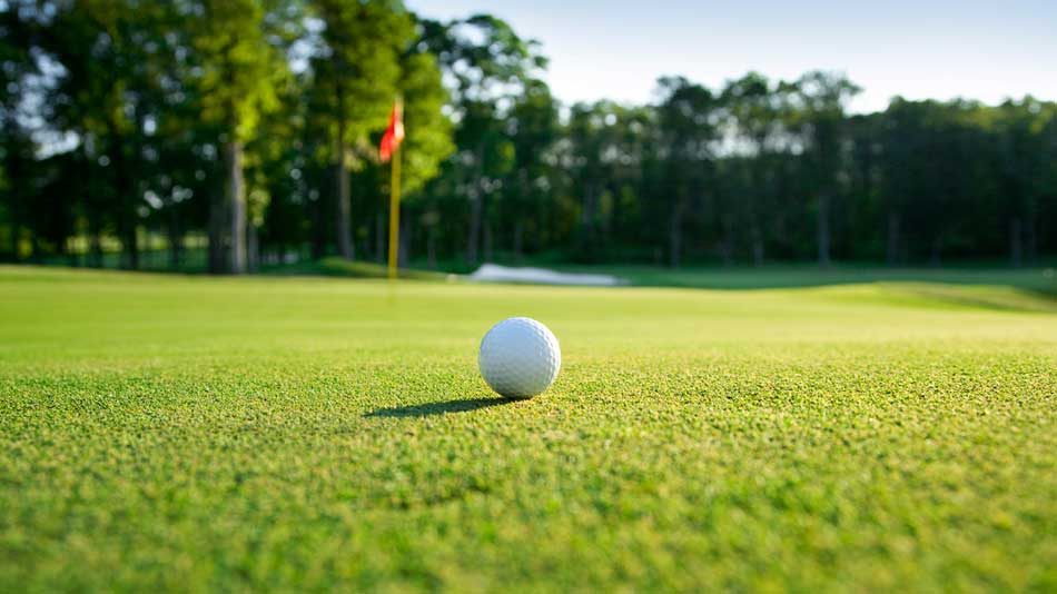 Study finds reduction in the number of fertilised acres on US golf courses