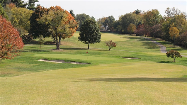 Lester George hired to create masterplan for Audubon CC