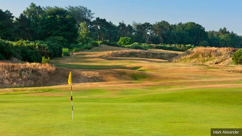 Scotscraig Golf Club reveals course restoration work