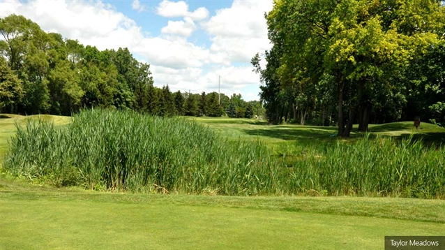 Taylor Meadows course to reopen following work on three holes