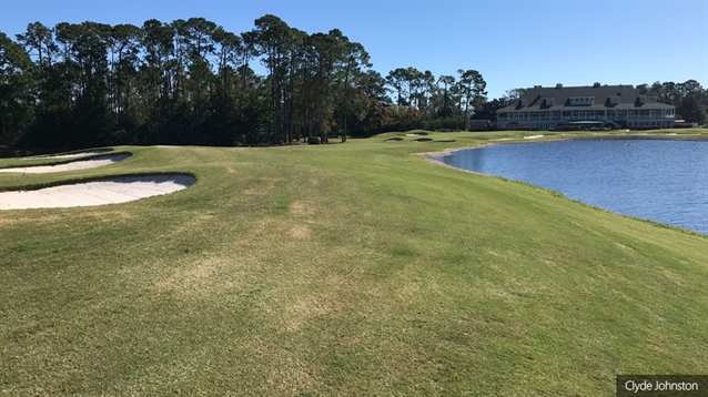 Jacksonville G&CC begins greens and bunkers renovation