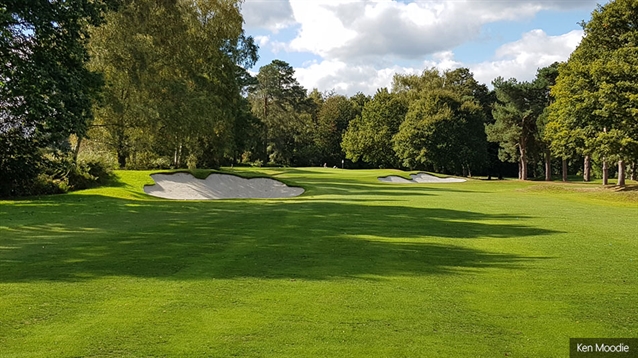 Moodie continues with bunker renovation at West Surrey