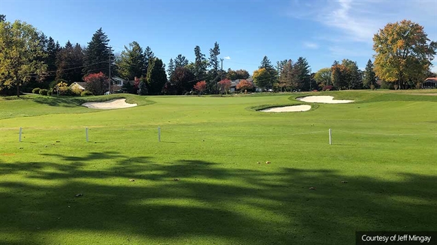 Cutten Fields approves Mingay greens reconstruction project
