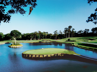 Sawgrass files for bankruptcy