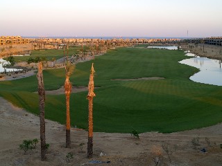 Spring opening for Egyptian course