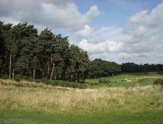 Rescue aids fescue at Bearwood