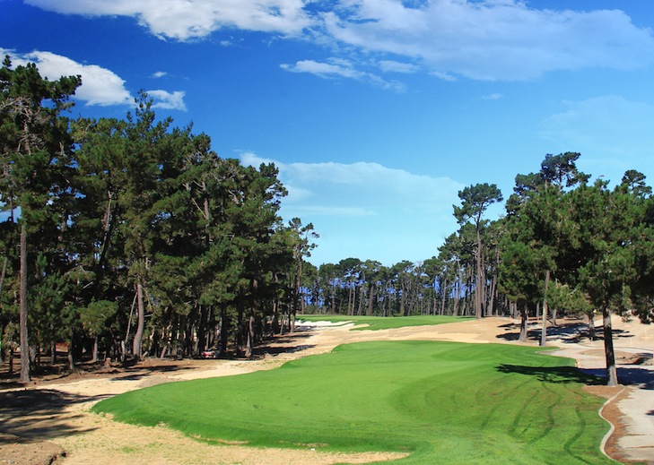 New-look Poppy Hills will be faster, firmer and more fun, says Jones