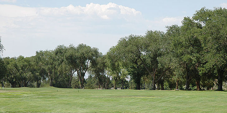 Work begins at University of New Mexico’s North Course