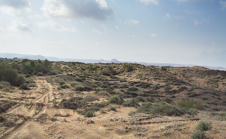 Harradine to design nine hole seaside course in new Oman development