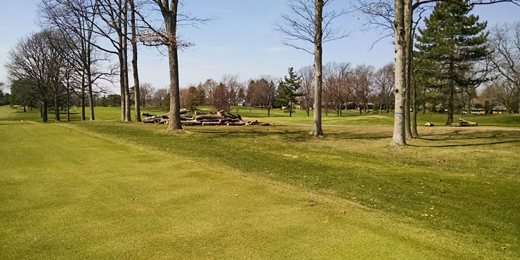 Wilczynski leads extensive tree management project at Warwick Hills
