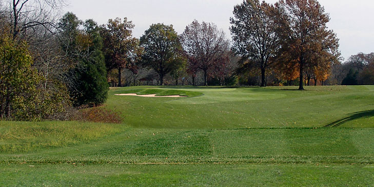 Lohmann Golf Designs begins renovation work at Newman Golf Course