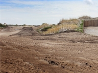 Developing dunes