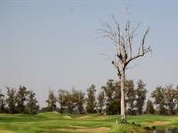 Golfing highs at Lao