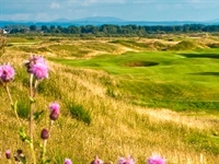 STRI and Kanda Golf team up to deliver two educational workshops
