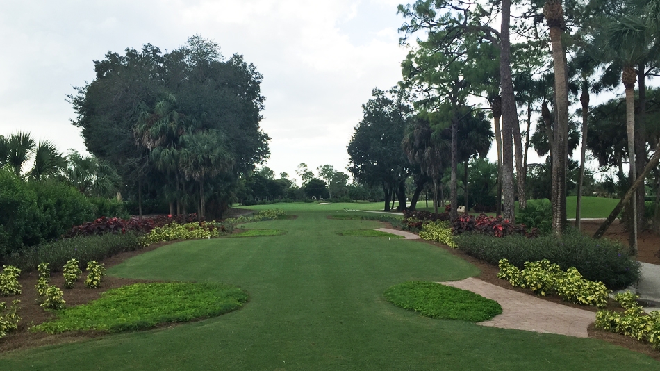 Gordon Lewis completes renovation work at The Forest’s Bobcat course