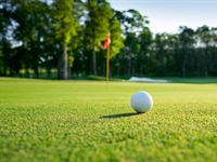 Significant reductions in water use across courses in the US, report finds