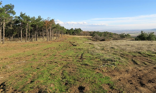 Construction gets underway on Georgia’s first 18-hole course