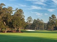 Tiger Woods opens new short course facility at Bluejack National