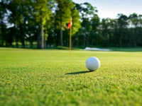 2016 EIGCA Conference to examine the role of technology in the game