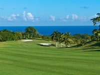 Andrew Green leads renovation project at The Tryall Golf Club