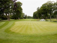 Work to upgrade final hole of Forest Pines' Pines nine reaches completion