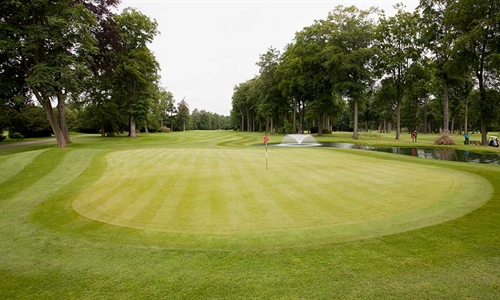 Work to upgrade final hole of Forest Pines' Pines nine reaches completion