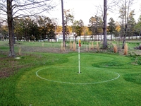 Back to basics with a fun and accessible form of golf