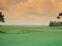 Renovations to take place on the Cougar Point course at Kiawah Island