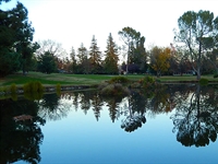 RTJ II Golf Course Design to lead North Ridge CC renovations