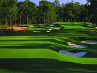 Pinehurst brings in Hanse to restore No. 4 and build new short course