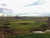 First phase of wild Herzogswalde rebuild nears completion