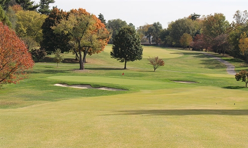 Lester George hired to create masterplan for Audubon CC
