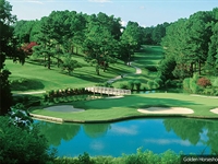 Golden Horseshoe Gold Course to reopen this July following renovations