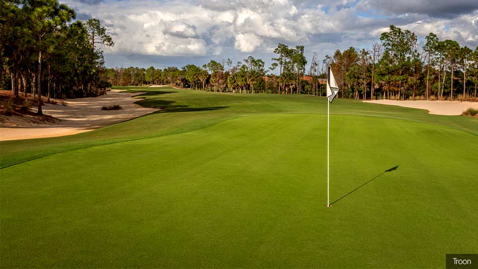 Series of renovations to take place at Tiburón Golf Club’s Black Course