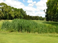 Taylor Meadows course to reopen following work on three holes