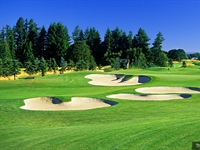 Bunker renovations to be made on South Course at The Reserve Vineyards