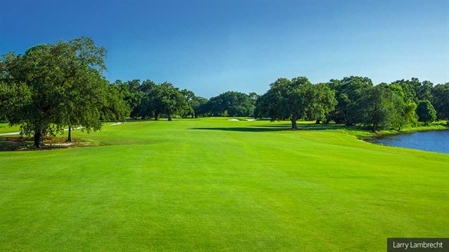 Bayou Oaks: A symbol for a rebuilt city