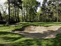 Green renovation project to take place at Golf Club Hannover