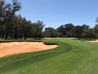 New greens perplex European Tour players at Royal Golf Daressalaam