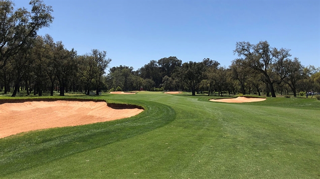 New greens perplex European Tour players at Royal Golf Daressalaam