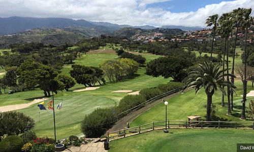 David Williams begins work on masterplan for RCG Las Palmas