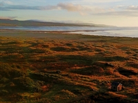 Planners give green light for Coore & Crenshaw layout in Scotland