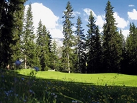 Harradine to oversee renovation of original nine at Arosa