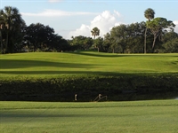 Jacksonville Beach course to reopen following Minchew renovation