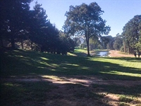 David Williams reworks three holes on Ballesteros nine at Pedreña