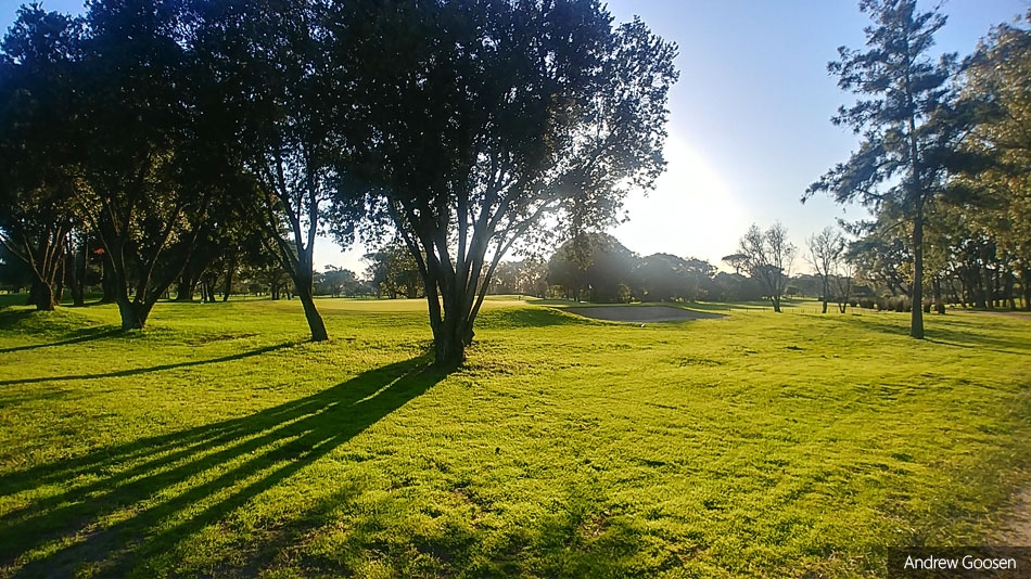 Goosen takes first steps towards landscape restoration at Royal Cape