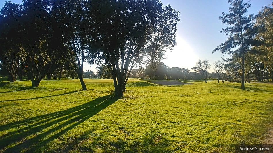 Goosen takes first steps towards landscape restoration at Royal Cape