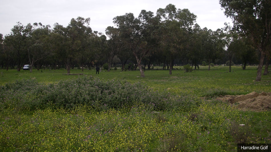 Harradine Golf gets green light for Tunis project