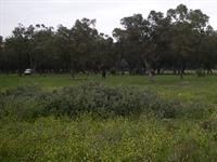 Harradine Golf gets green light for Tunis project